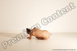 Modern Aerobic reference poses of Estera